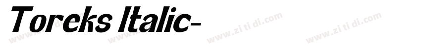 Toreks Italic字体转换